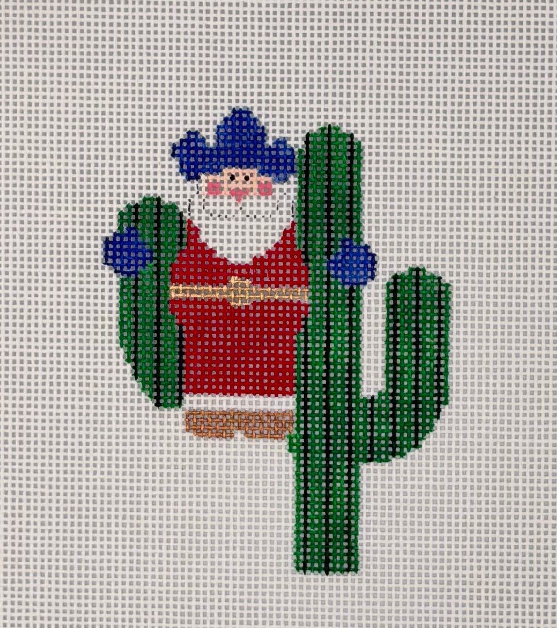 Santa on Cactus Canvas