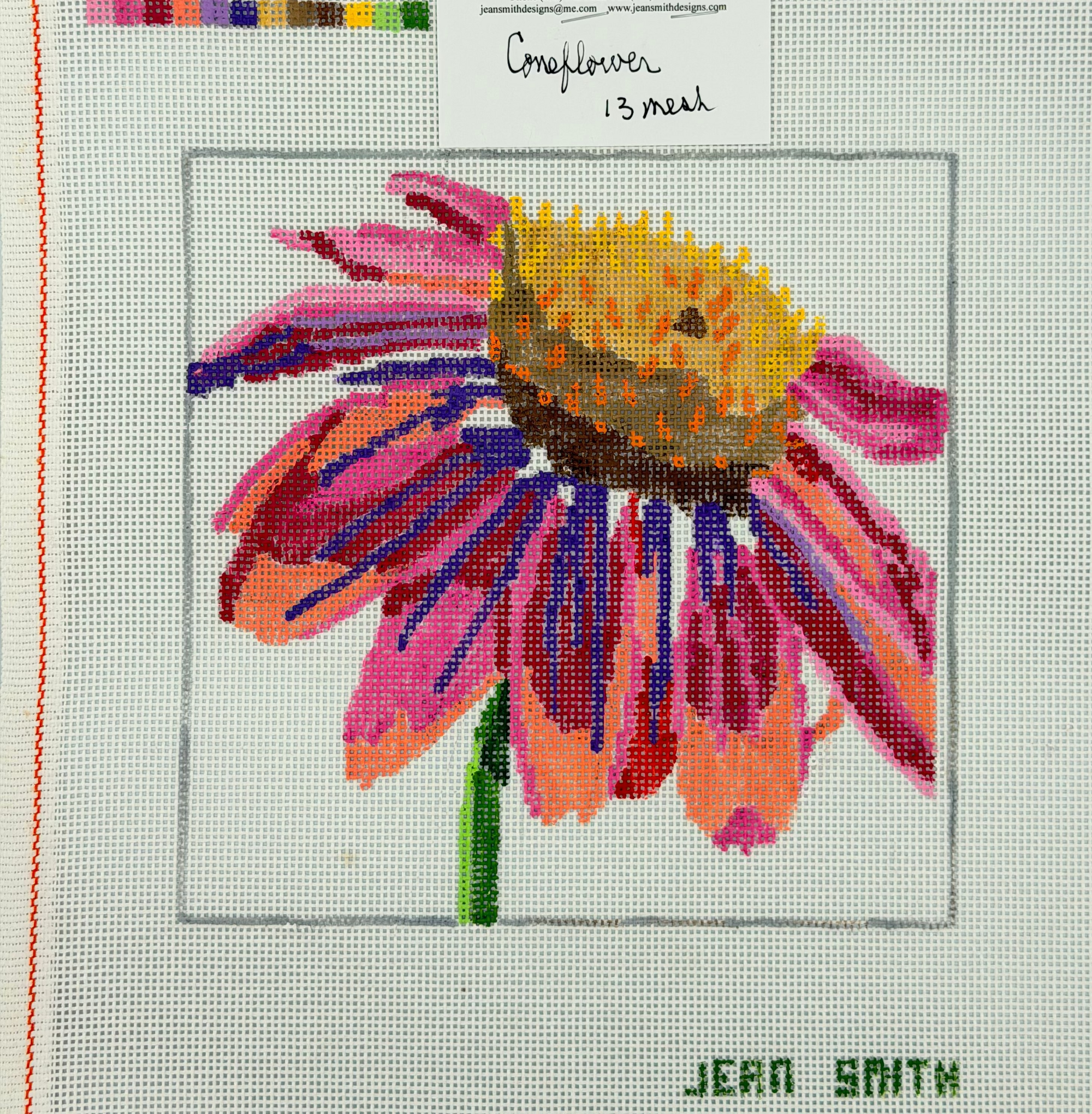 Coneflower Canvas