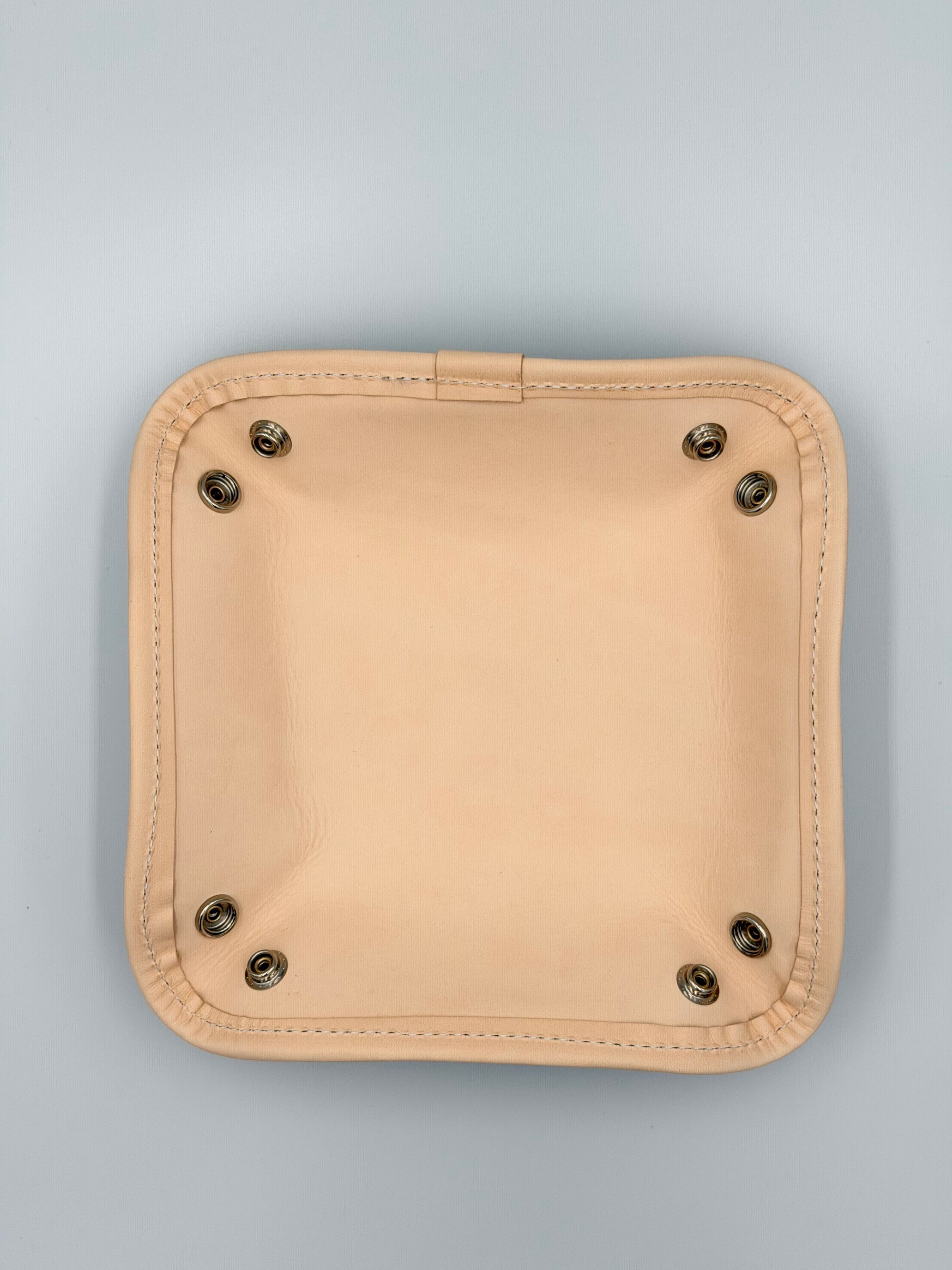 Catch All Navy Coated Canvas