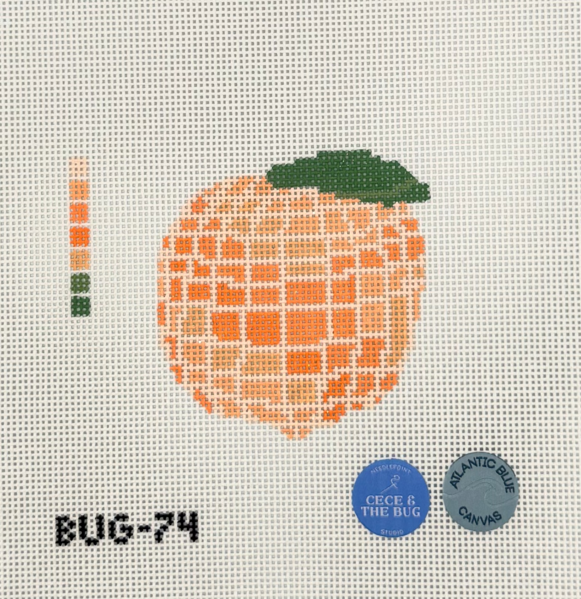 Peach Disco Canvas