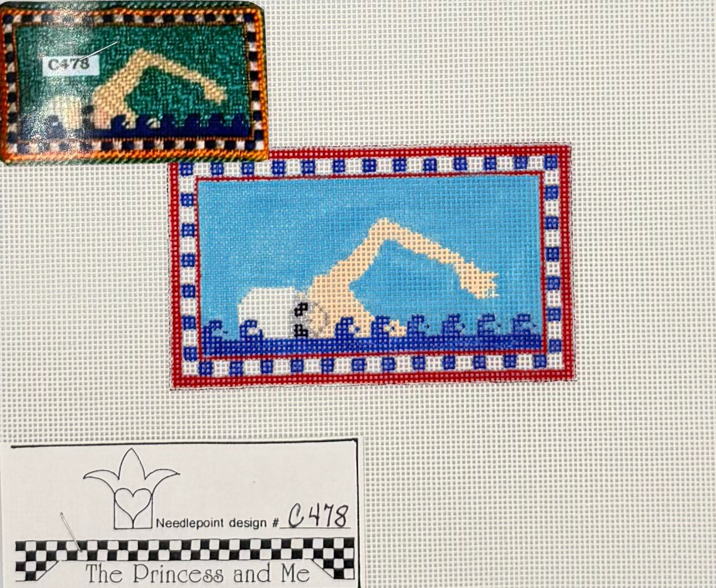 Swim Practice Canvas