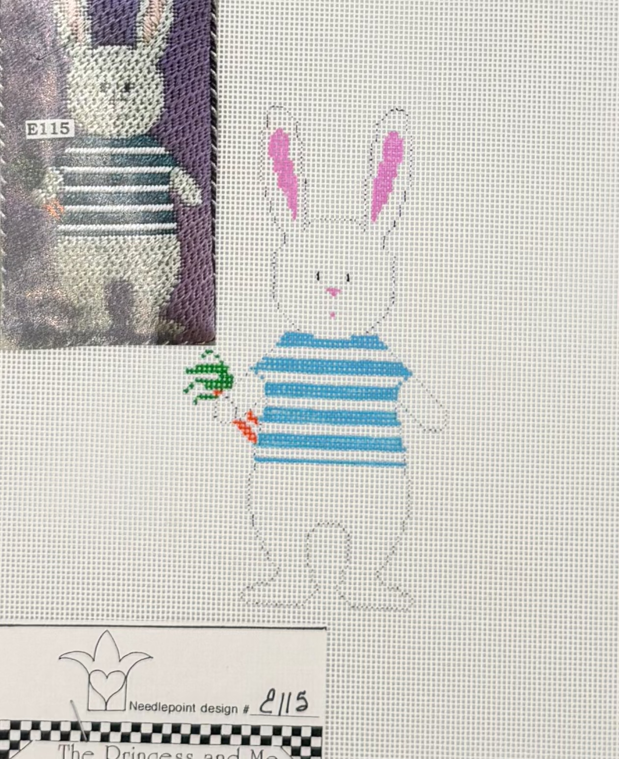 Sweet Little Bunny Boy Canvas