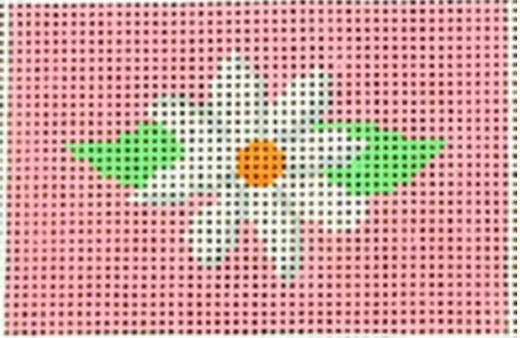 white flower on pink Canvas