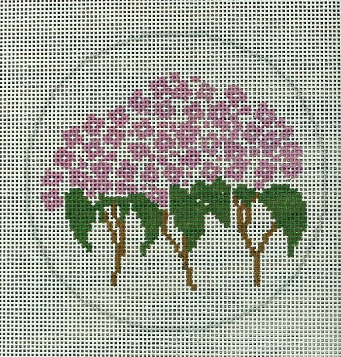 Lavender Hydrangea Canvas
