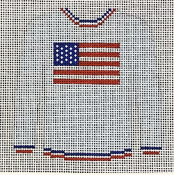 Flag on Light Blue Solid Canvas