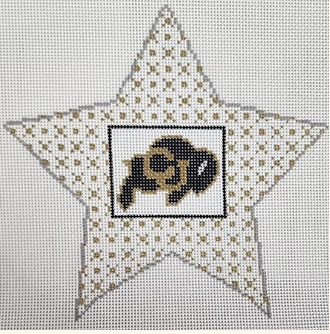 Colorado Star Canvas