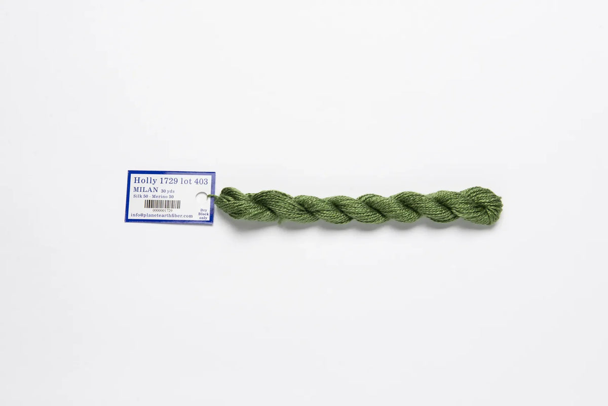 Milan Skein 1729 Holly