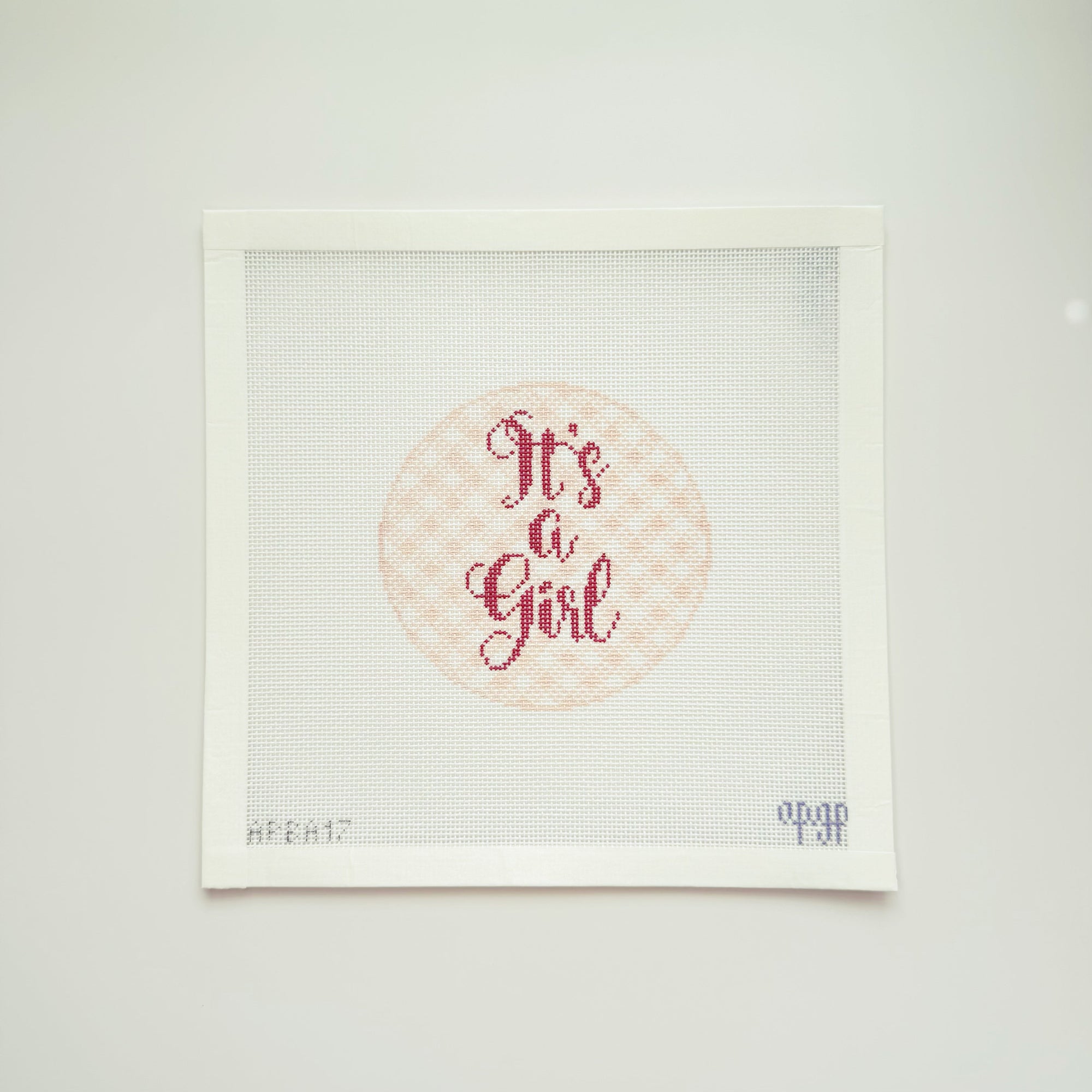 It's a Girl" Gingham Canvas